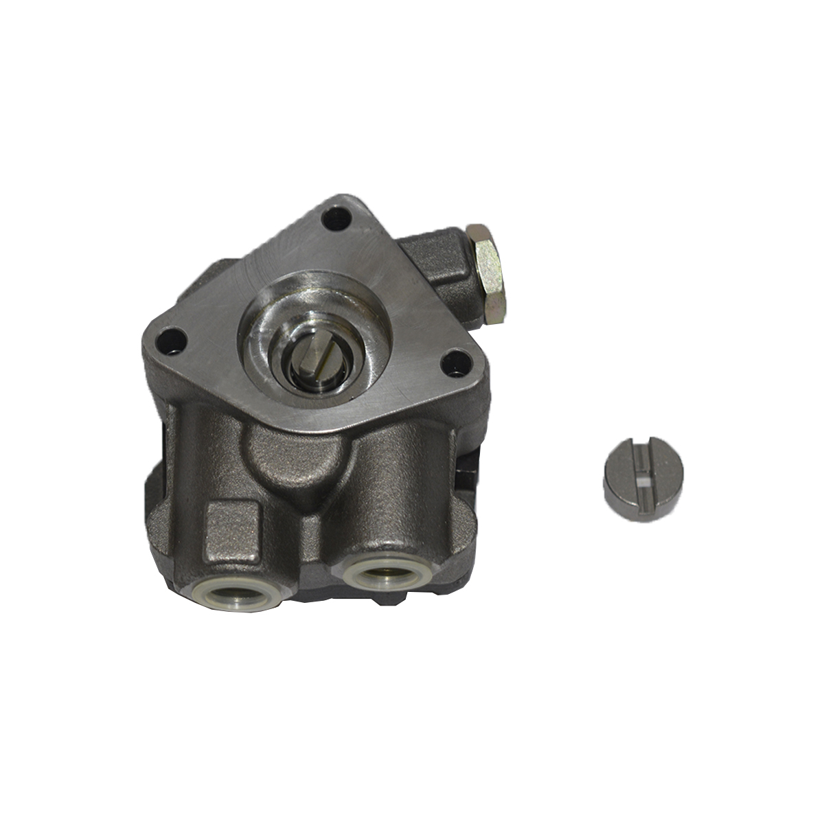 Bomba Alimentadora Combustivel Pettenuzzo...