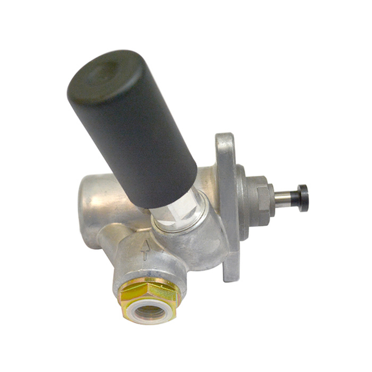 Bomba Alimentacao B12 Pettenuzzo 244825