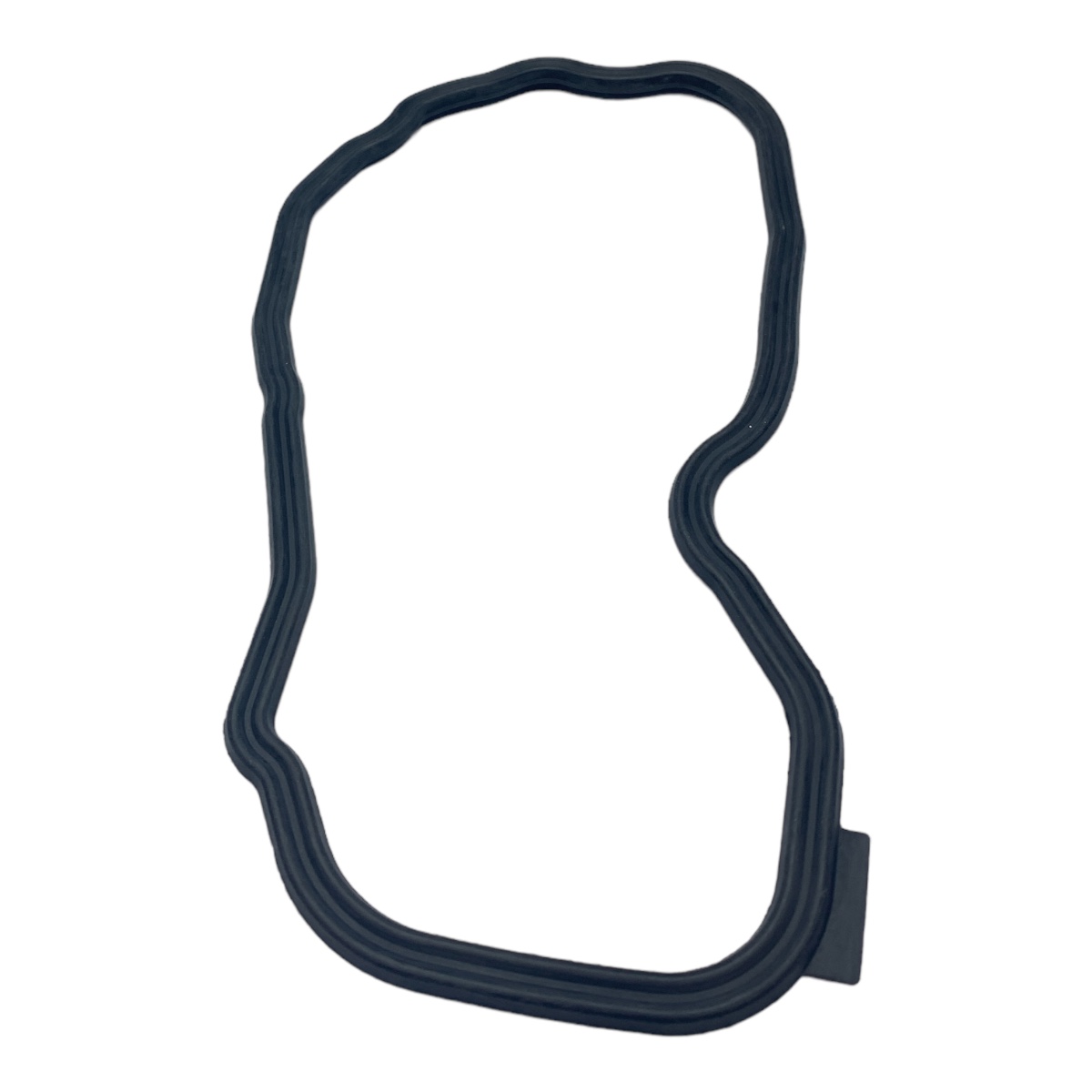 Junta Tampa Valvula Ntg Pettenuzzo 1772475