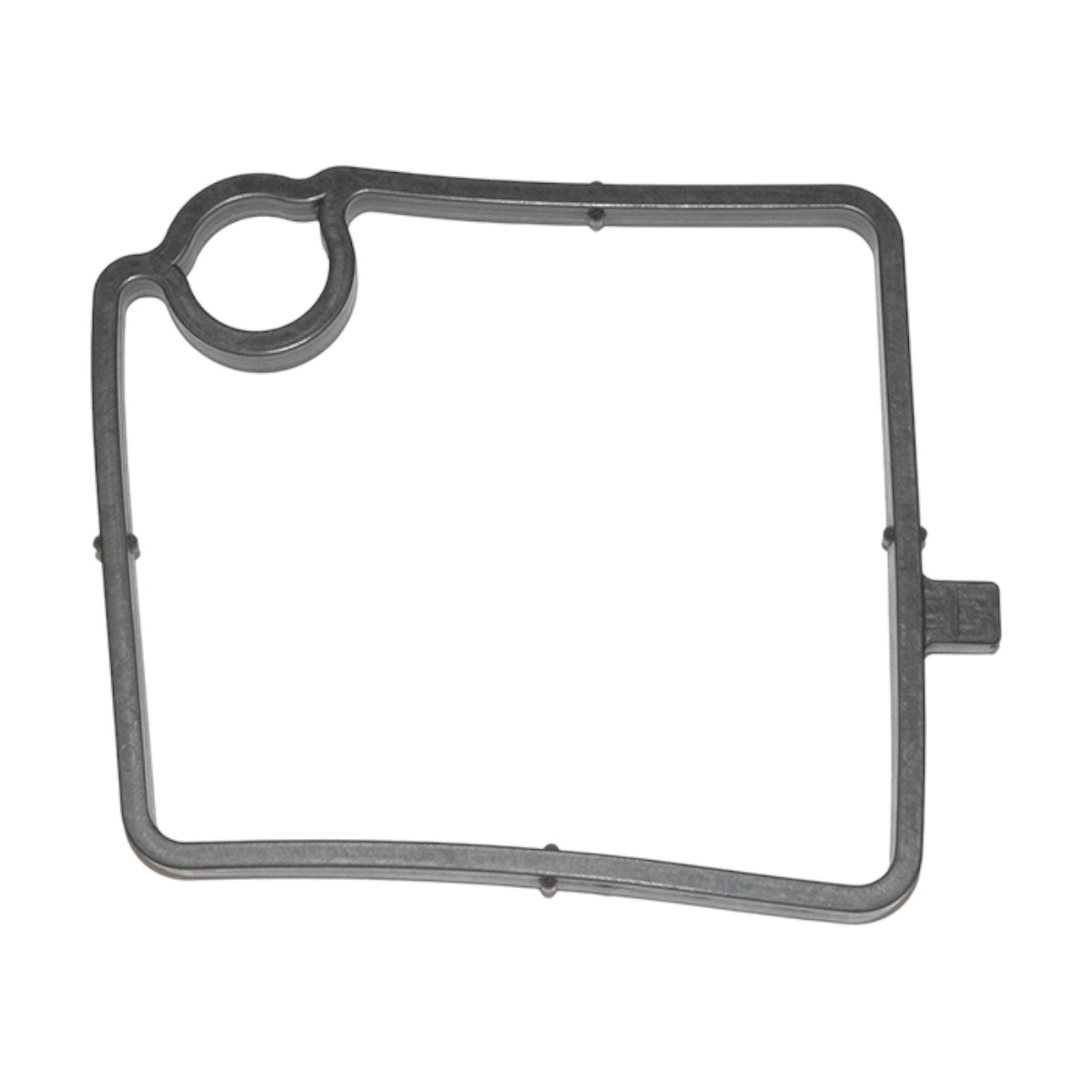 Junta Tampa Lateral Motor D13 Pettenuzzo ...