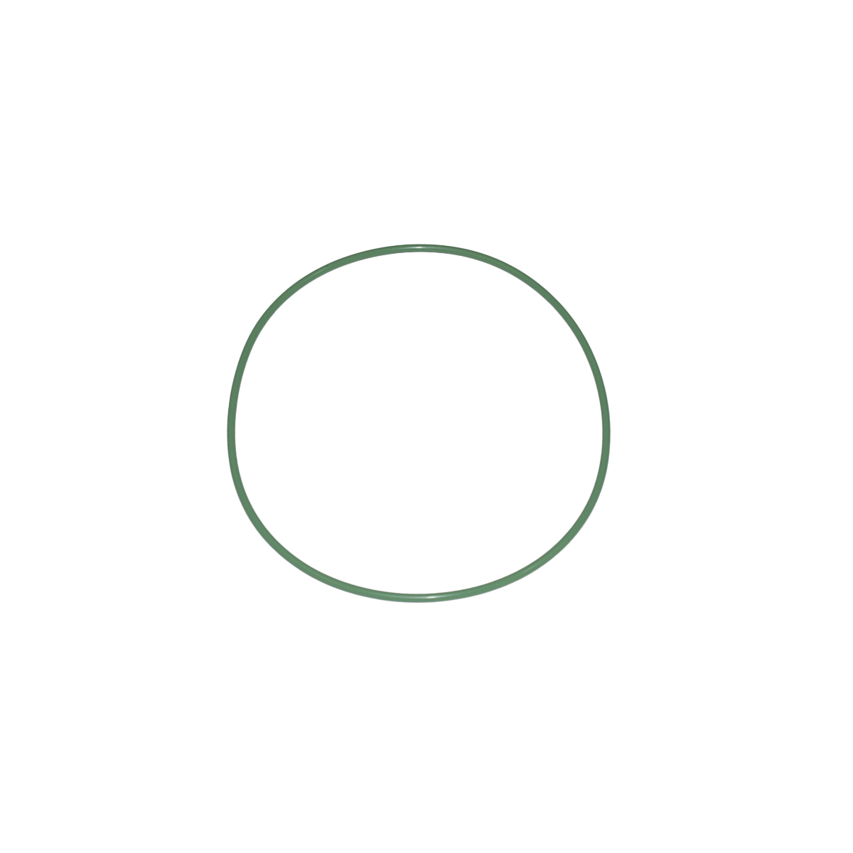 Anel Capa Seca Motor 124p,G,R Pettenuzzo ...