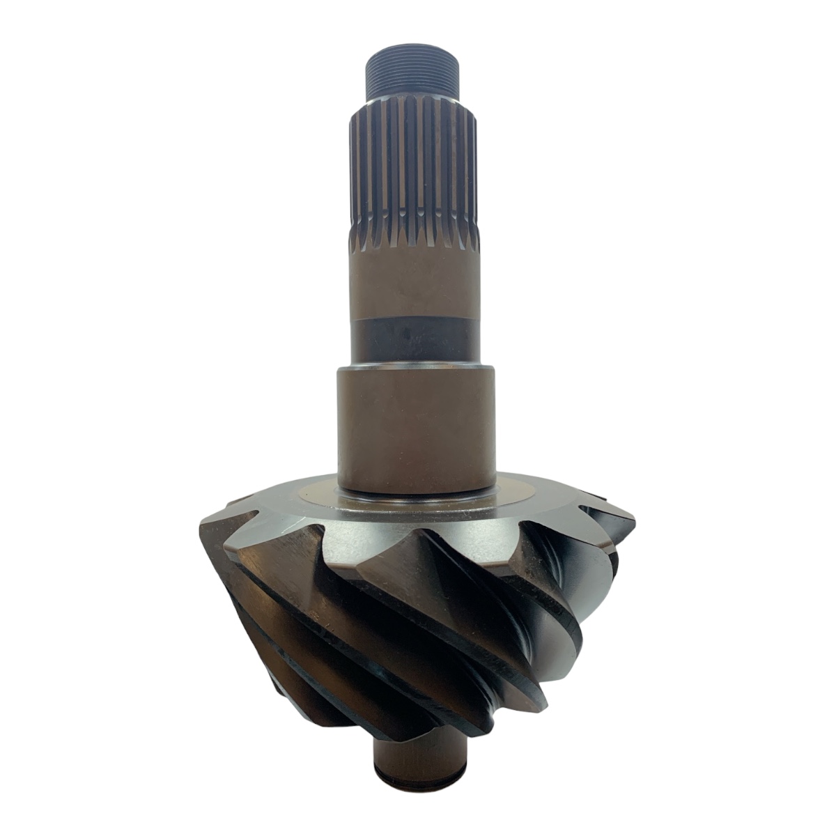 Coroa E Pinhao R780 12x37 Pettenuzzo 1327...