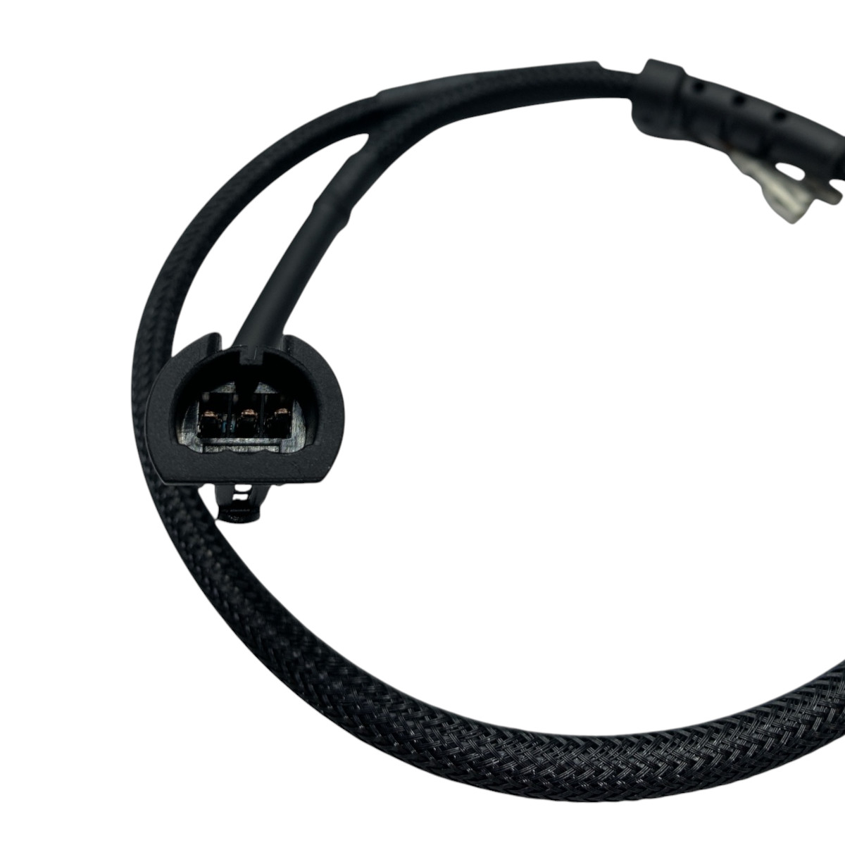 Chicote Cambio 124p,G,R   Pettenuzzo 1452398