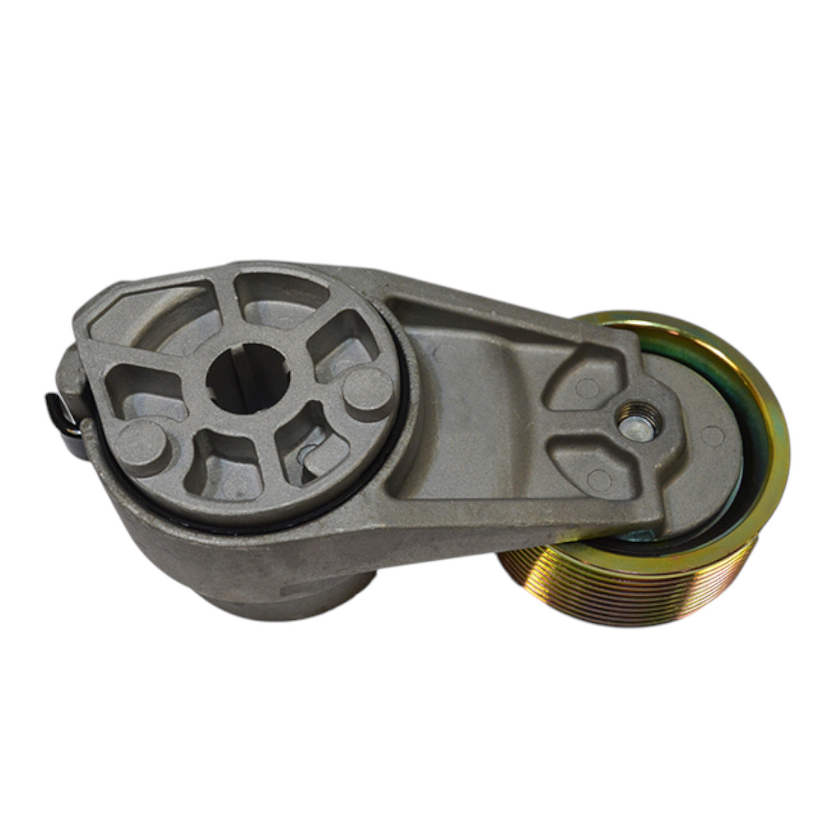 Tensor Correia Fh, D13a Pettenuzzo 20491753