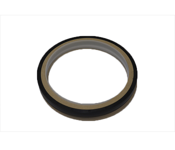 Retentor Traseiro Virabrequim Fh,Fm,Nh 81...