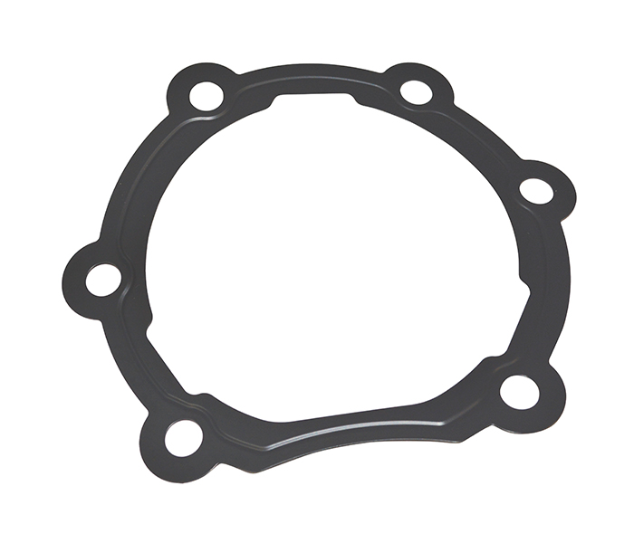 Junta Cambio Nl,Nh,Fm,Fh 20497205 Pettenuzzo